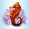 crystal waters sea horse symbol