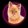 cutie cat ginger cat symbol