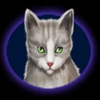 cutie cat grey cat symbol