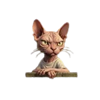 da block cat symbol