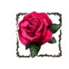 dark hearts rose symbol