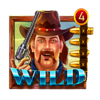 deadly outlaw wild symbol