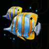 deep sea fortune fish symbol