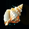 deep sea fortune shell symbol