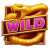 desert riches hold n link wild symbol