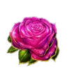 devilicious rose symbol