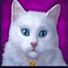 diamond cats cat symbol 1