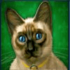 diamond cats cat symbol 5