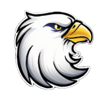 diamond explosion patriots symbol 1