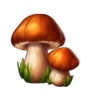 diamond explosion polish fruits jesien mushroom symbol