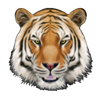 diamond heat bengals treasures symbol 1