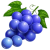 diamond joker respin grapes symbol