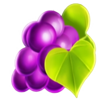 diamond plus valentines edition grapes symbol
