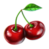 diamondz cherry symbol