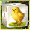 dice of magic easter edition chicken symbol