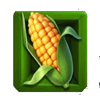 diegos spicy truck corn symbol
