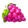 divine fruit grapes symbol