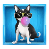 dog squad dog with bubblegum symbol