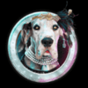 doggie diamonds dog1 symbol