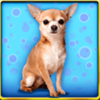 doggone lucky dog sitting symbol