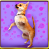 doggone lucky dog upwards symbol