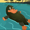 dollars down under duck symbol