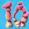 dolphin treasure ten symbol