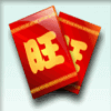 double fortunes ticket symbol