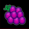 double game 2 grape symbol