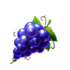 double joker hold and win grape symbol