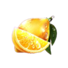 double joker hold and win lemon symbol