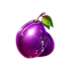 double joker hold and win plum symbol