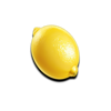 dozen jackpots lemon symbol