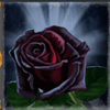 draculas gems black rose symbol