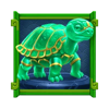 dragon duello green turtle symbol