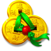 dragon fortune coins hold and win coins symbol
