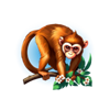 dragon power 10000 ways monkey symbol