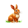dragon power 10000 ways rabbit symbol