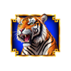 dragon power 10000 ways tiger symbol