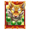 dragons call tiger symbol