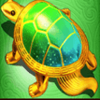 dragons law turtle symbol