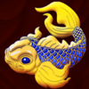 dragons margin koi symbol