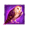 druids fortune owl symbol