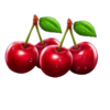 dual hearts cherries symbol