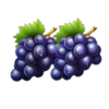 dual hearts grapes symbol