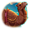 dubai luxury hold and win camel symbol