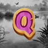 duck hunt 500 q symbol