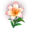 easter bunny treasures flower symbol