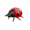 easter eggs jackpot ladybug symbol