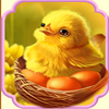 easter reels chicken symbol